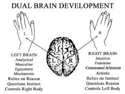 dual brain-2